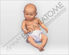 Manequim Bebê Bissexual com Órgãos Internos